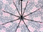 Зонт  женский Zicco, арт.2240-4_product